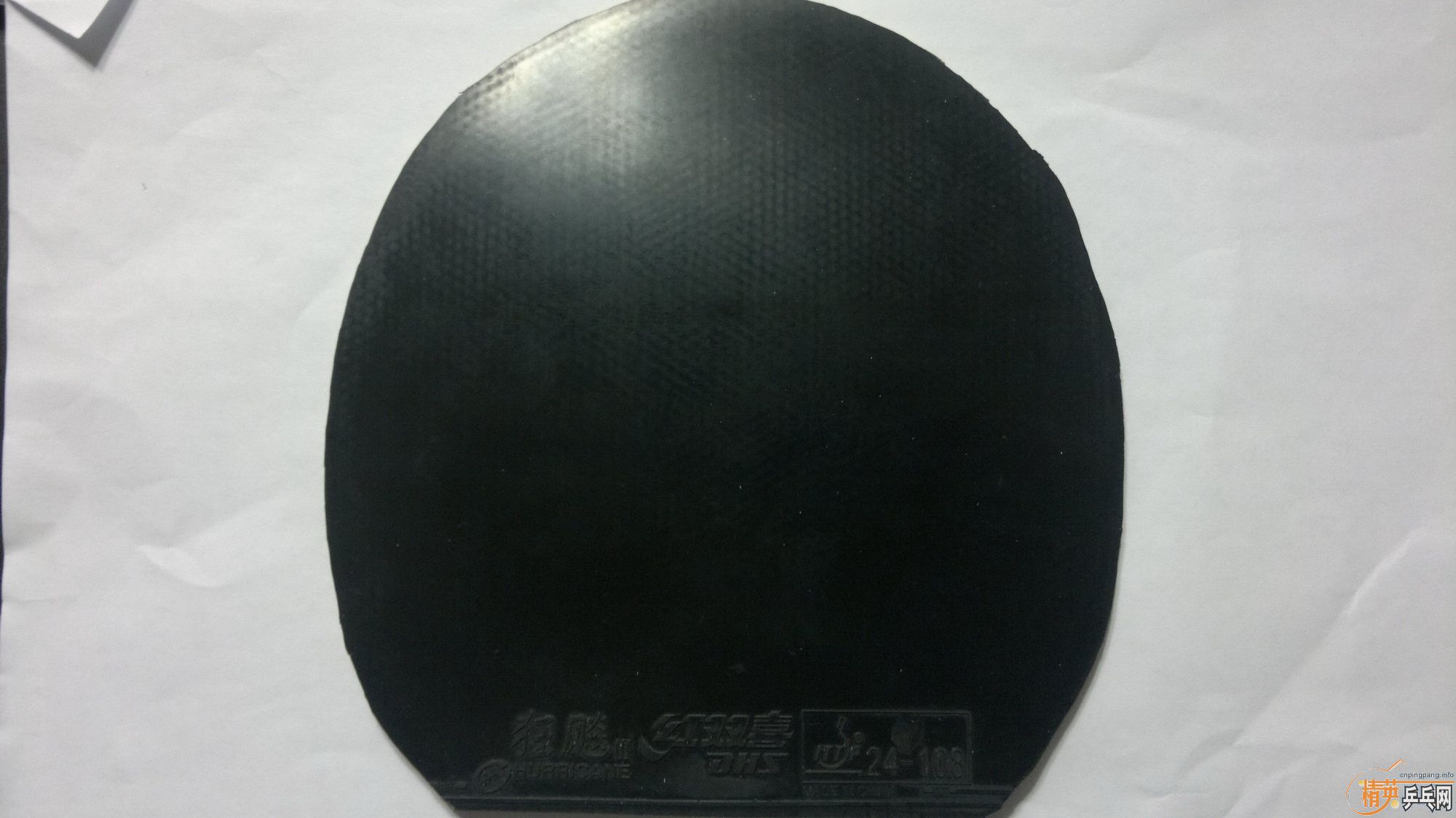 ��ǡ��� FL  NEOʡ�� ˹���� ���320��ֱ�壬��˳��