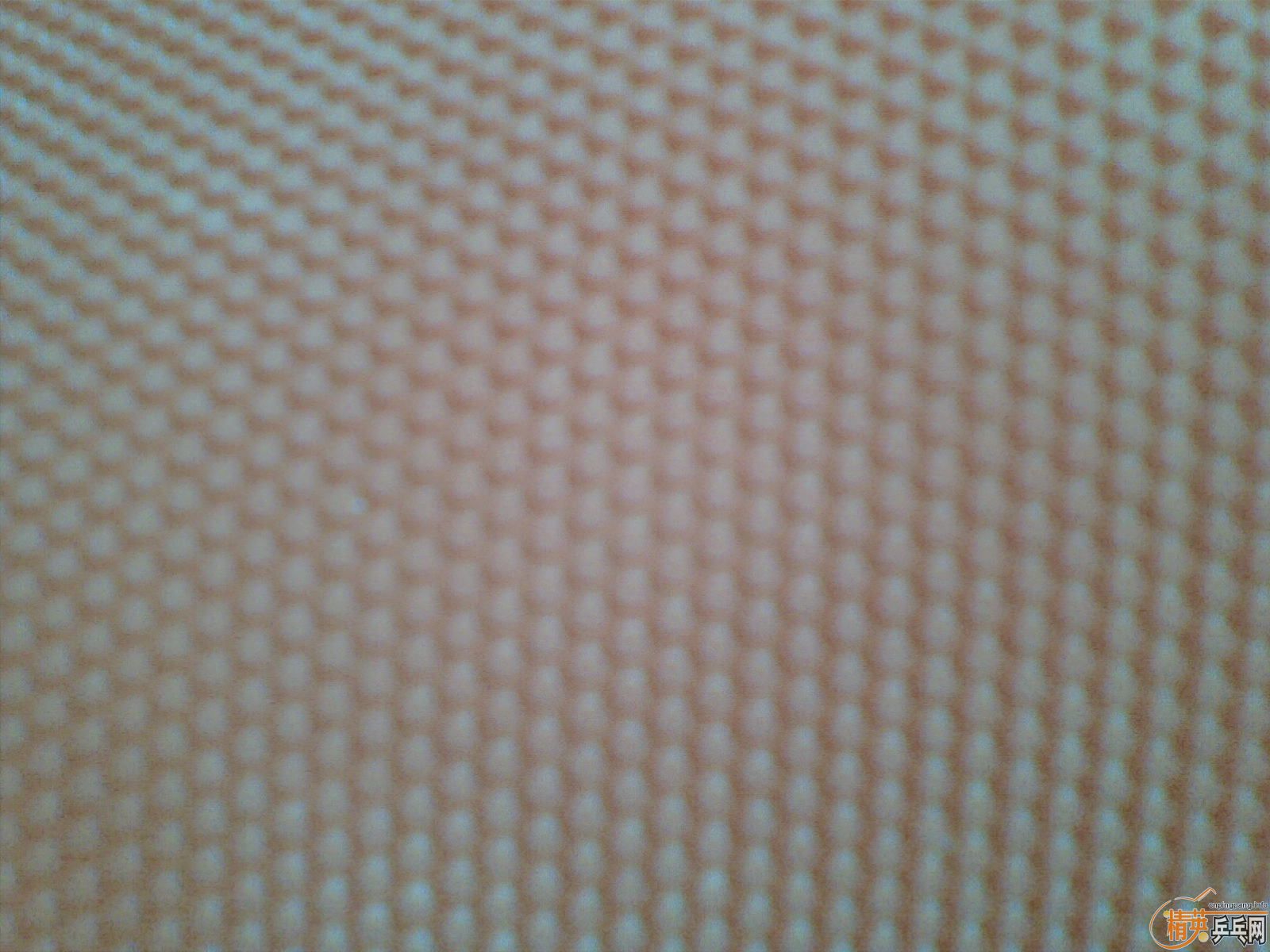 ͷпֲ2007220082
