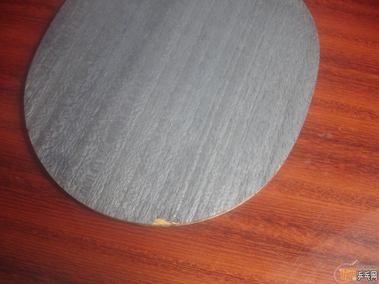 ���������������𩣬Ҳ�ɻ�CL��viva��YES���߼�