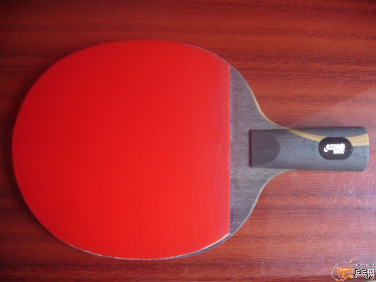 ���������������𩣬Ҳ�ɻ�CL��viva��YES���߼�