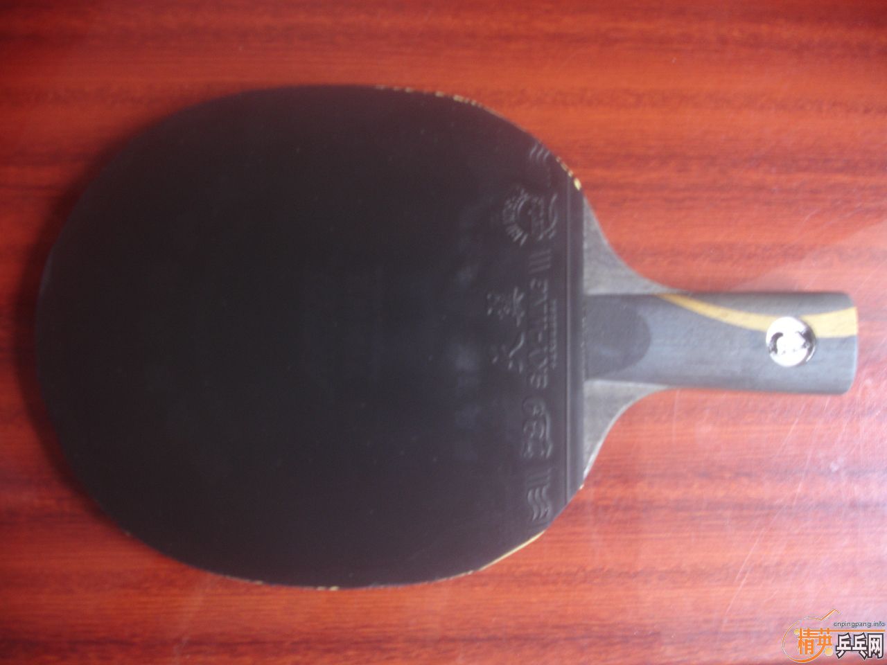 ���������������𩣬Ҳ�ɻ�CL��viva��YES���߼�