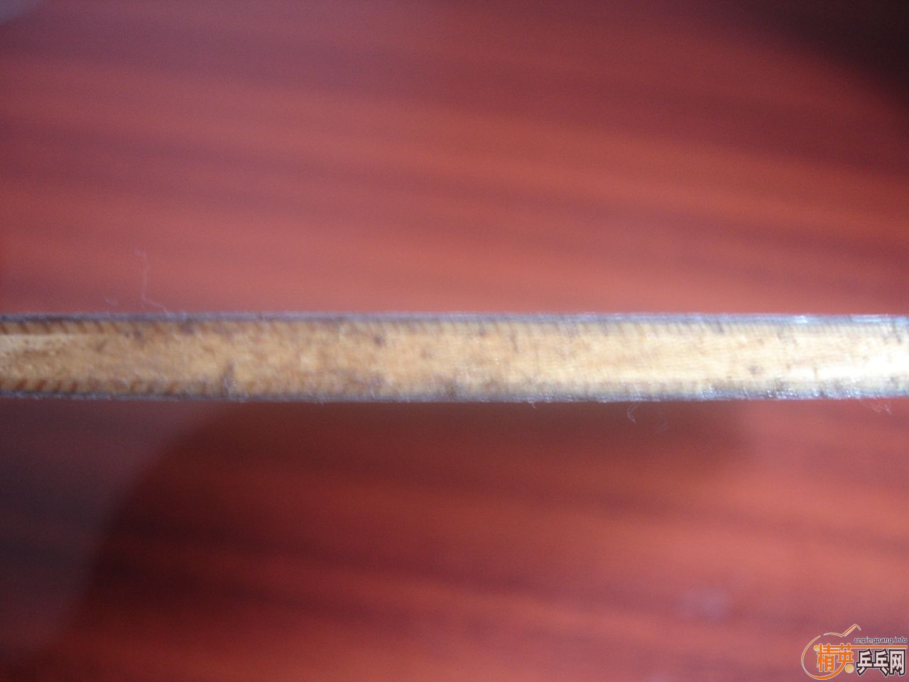 ���������������𩣬Ҳ�ɻ�CL��viva��YES���߼�