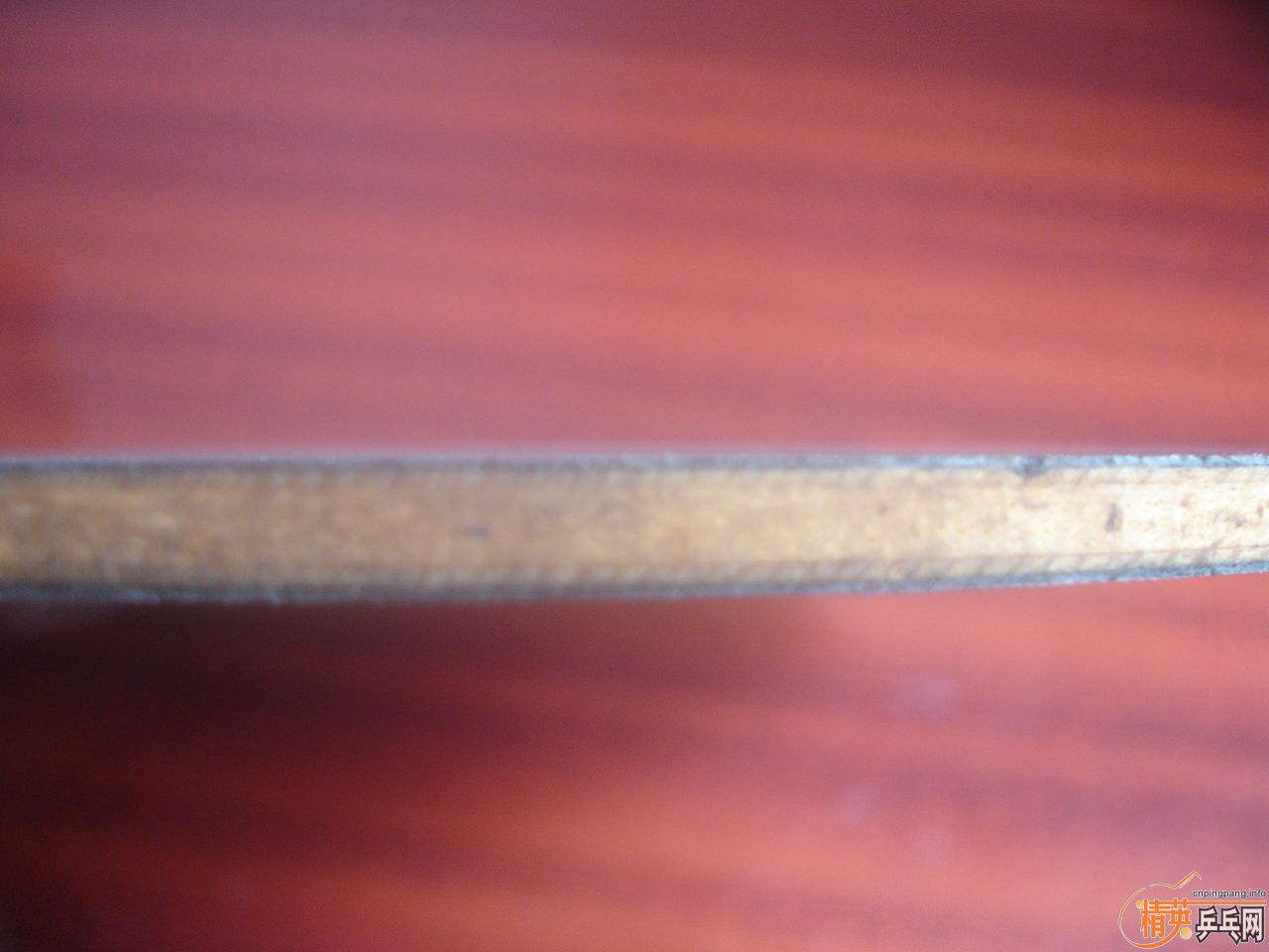 ���������������𩣬Ҳ�ɻ�CL��viva��YES���߼�