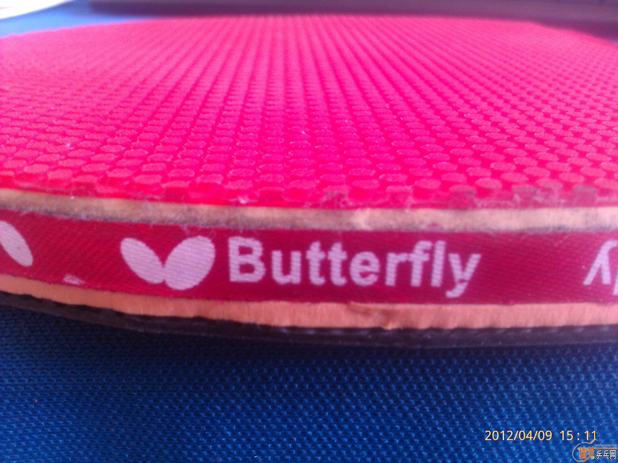 ��xiom�׽�����