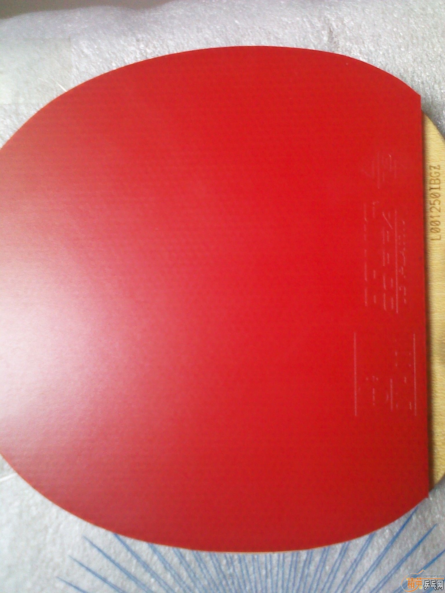 ����ʧ����ҹ����������·���������һ�ε��°������