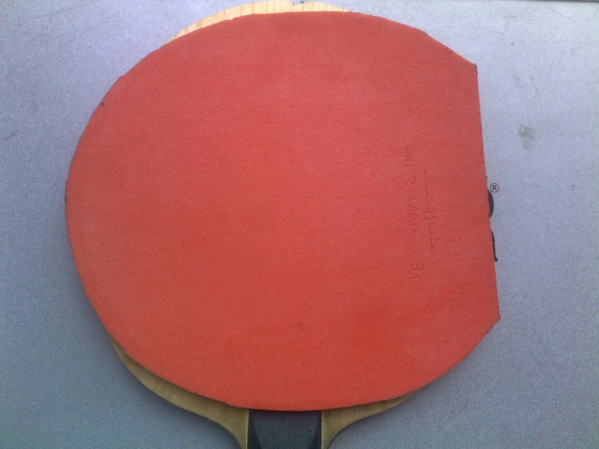 FL����ALC+SPIN ART