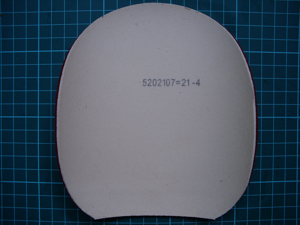 �ǳ��µ�DONIC S1,S2