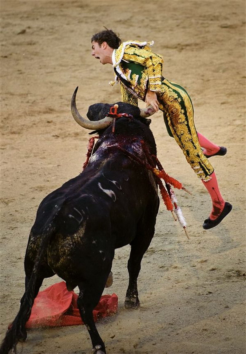 ��zs730712��ƹ��ϵ�С�44���ӷ����һ��ϸ�ڶ�����˫ϥ΢��