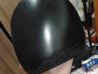 ��YE���������������EL