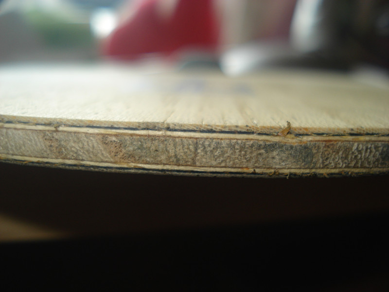 ���˳�һ�鲨��ZLC