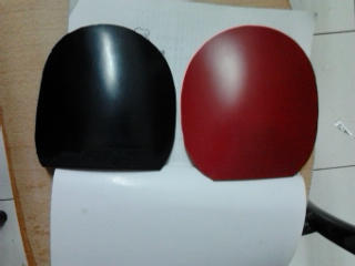 YE���������������EL