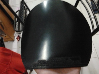 YE���������������EL