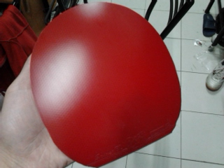 YE���������������EL