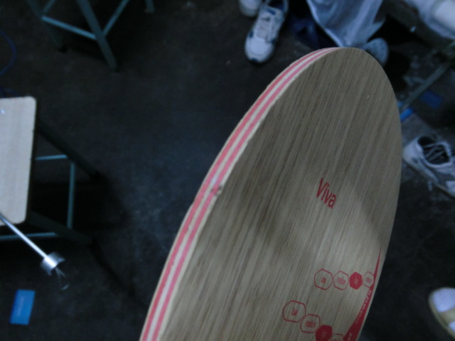 ��ֻ�������ε�����viva     170    ����