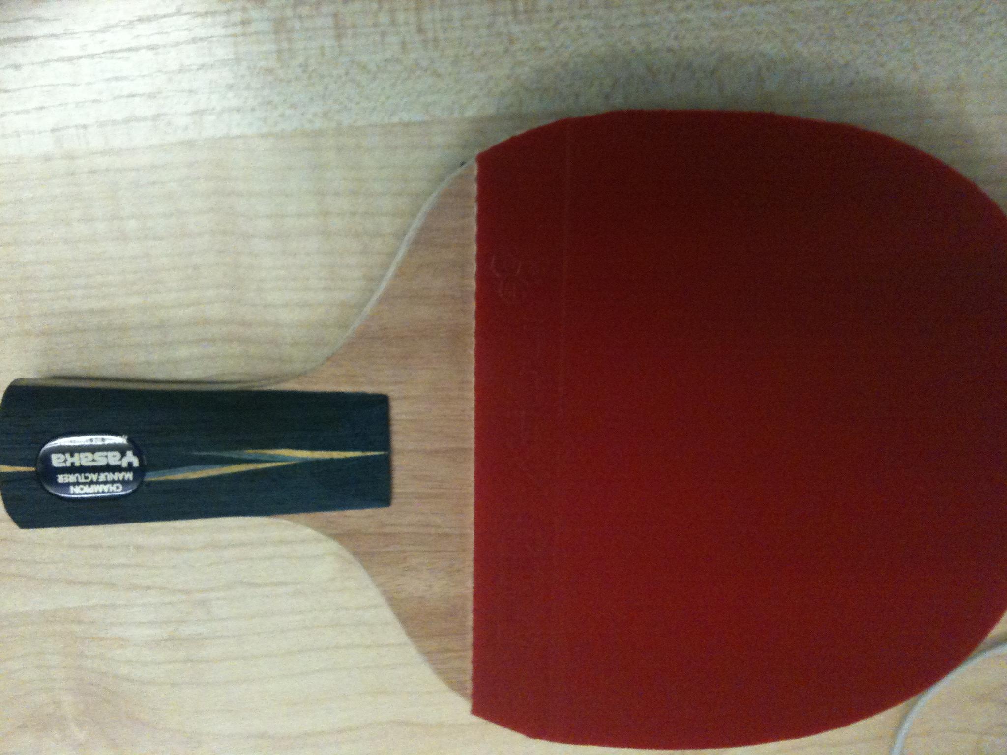 YE9.8���� ������300