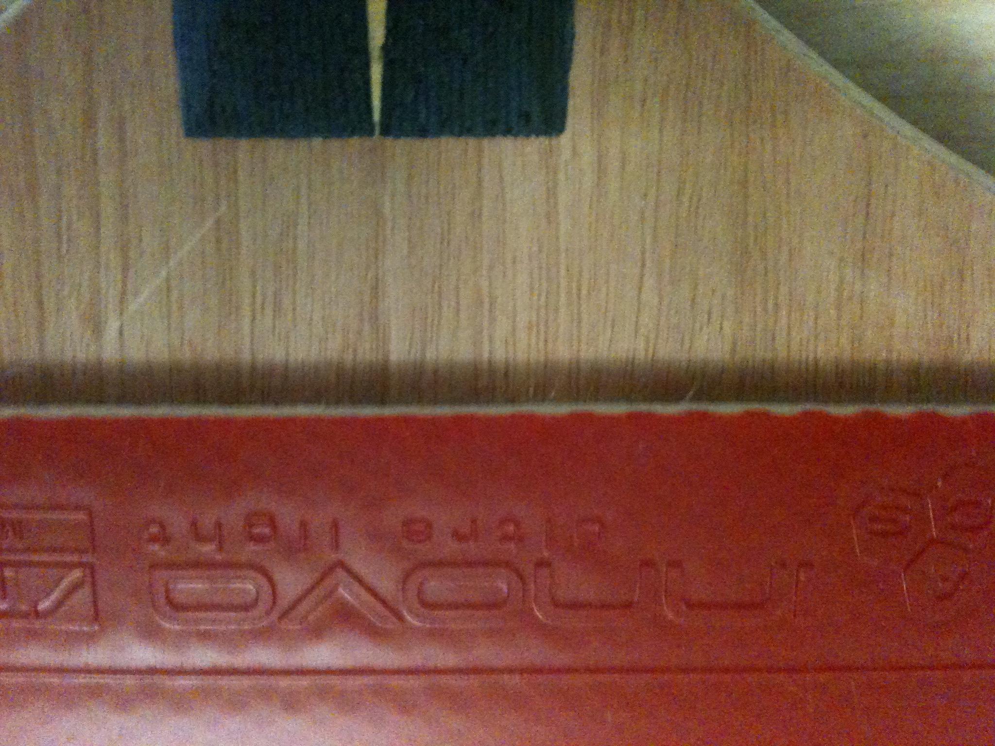 YE9.8���� ������300