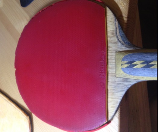 ����һ�� ϣ����HOHס����������