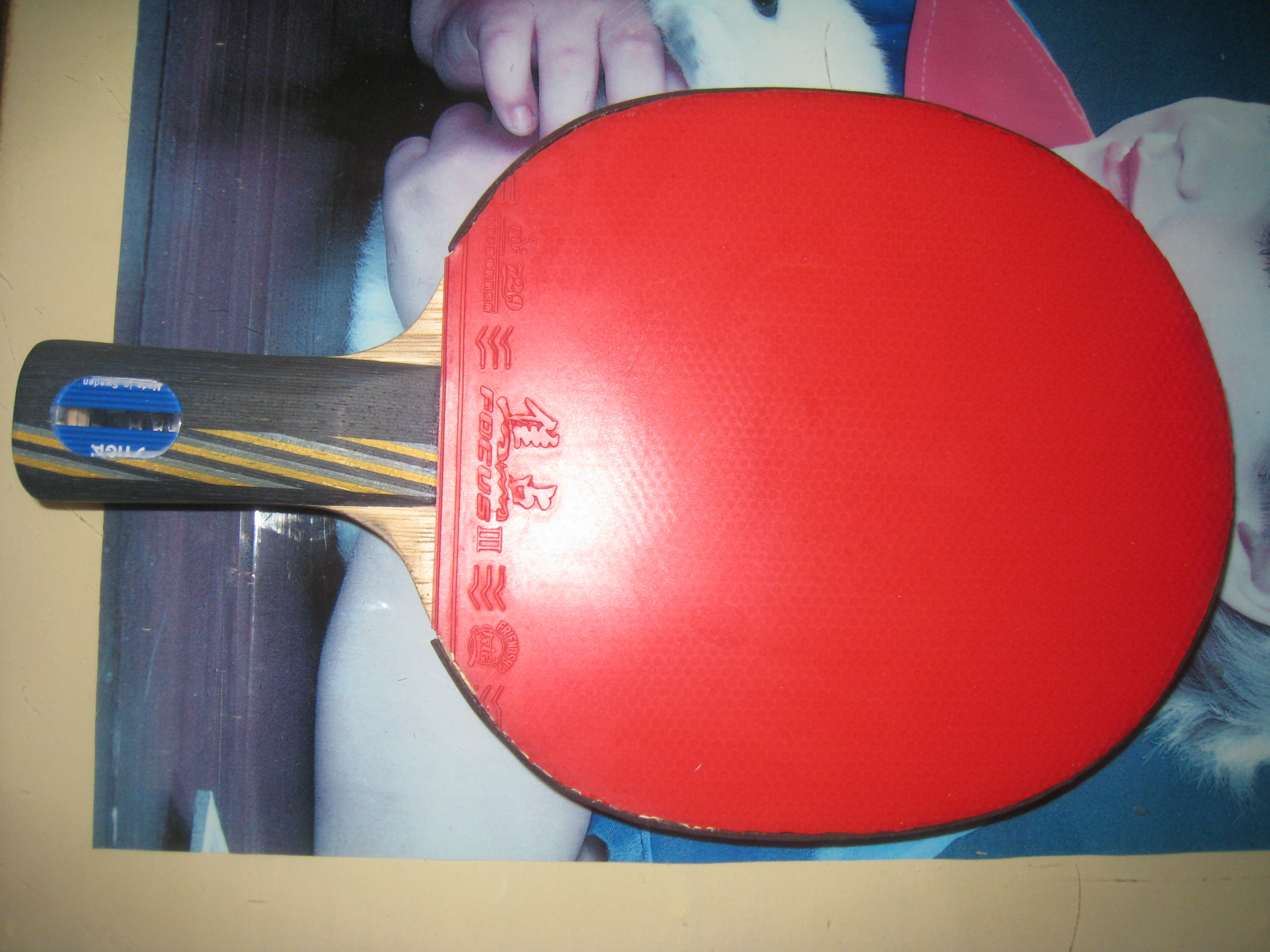 ֱ��eg�ܷ񻻵����eg