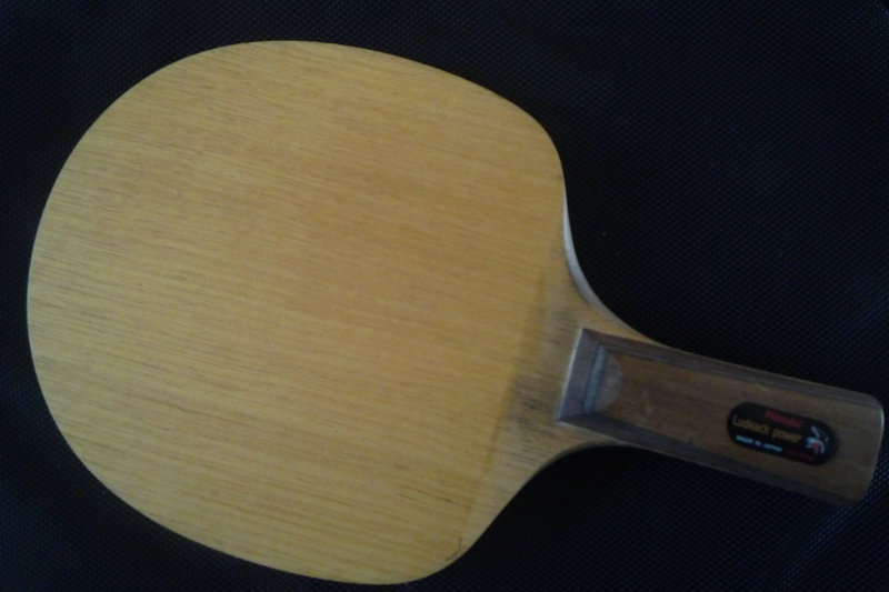 ����۲�̫�õ���֧�塿��ĥ�ܴ�����ִ��񡭡����������ƺ��������񡭡�