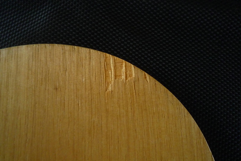 ����۲�̫�õ���֧�塿��ĥ�ܴ�����ִ��񡭡����������ƺ��������񡭡�