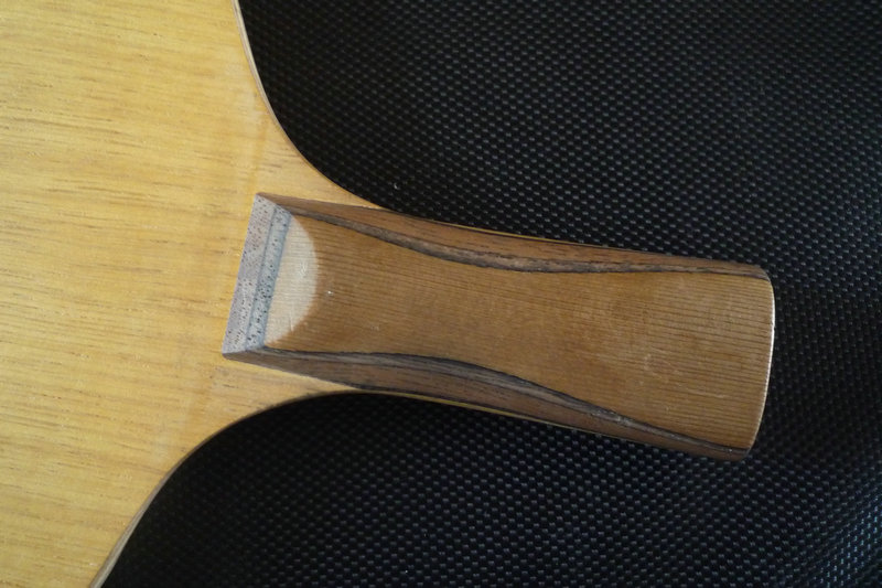 ����۲�̫�õ���֧�塿��ĥ�ܴ�����ִ��񡭡����������ƺ��������񡭡�