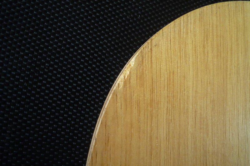 ����۲�̫�õ���֧�塿��ĥ�ܴ�����ִ��񡭡����������ƺ��������񡭡�