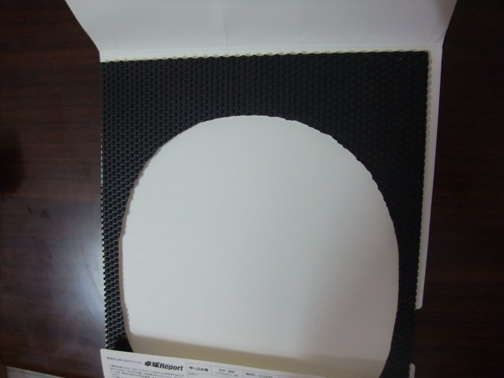 �� ���������׽� FLARESTORM 2 = 270Ԫ(�����)