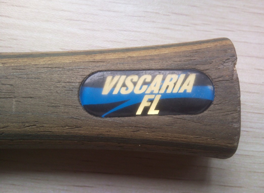 VISCARIA   FLװ٣Ѱæлл-->baotianyuת