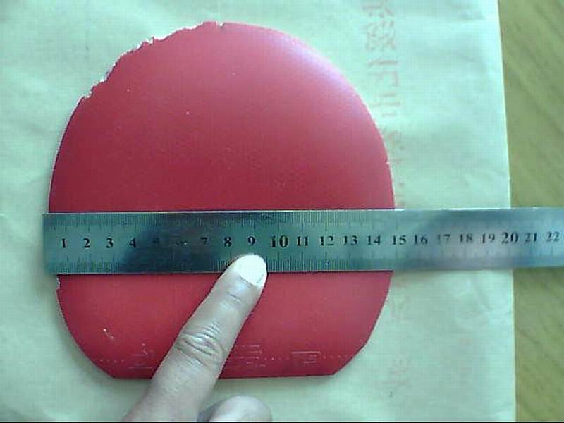 �����ž��׽��������F1����������̽�ꡢͦ��