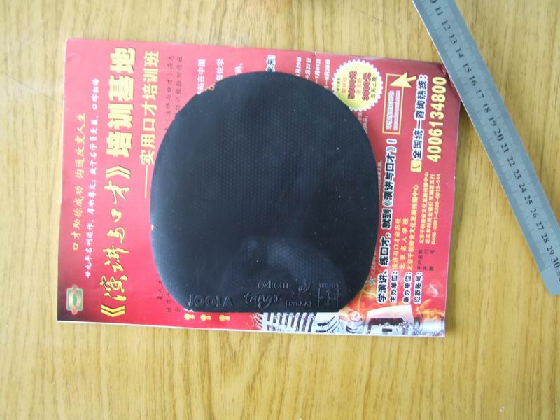 �����ž��׽��������F1����������̽�ꡢͦ��