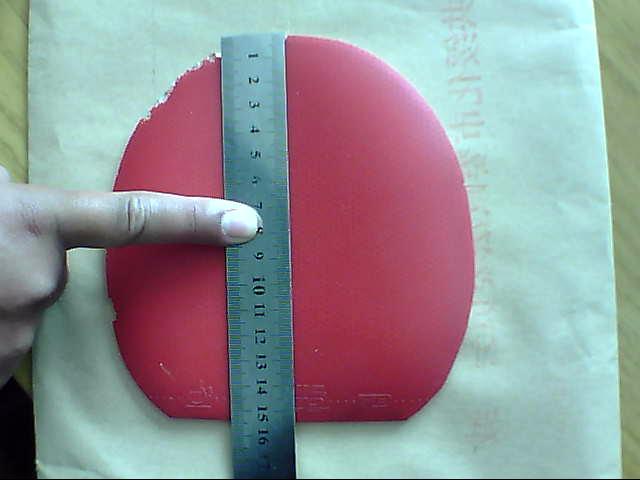 �����ž��׽��������F1����������̽�ꡢͦ��