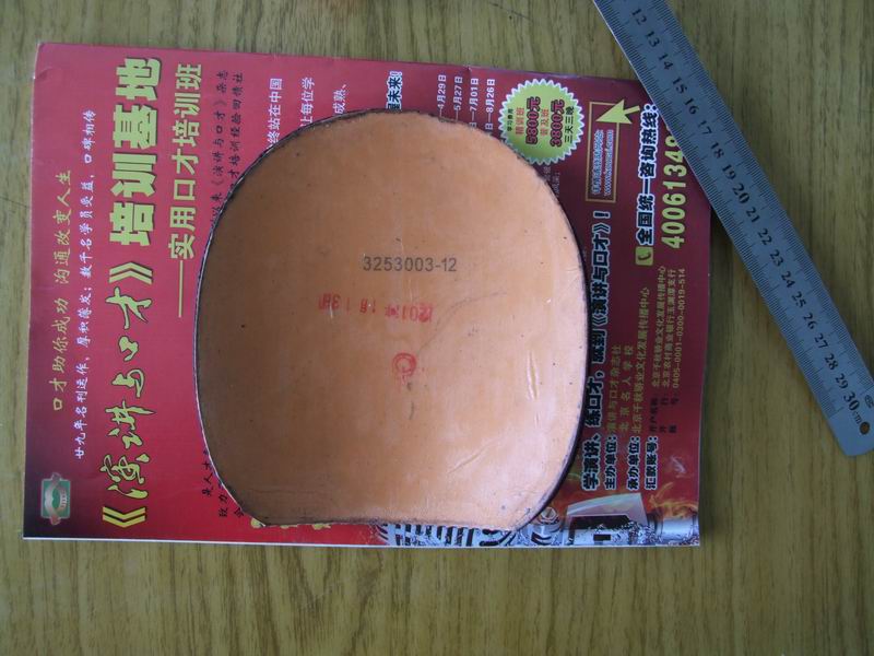 �����ž��׽��������F1����������̽�ꡢͦ��