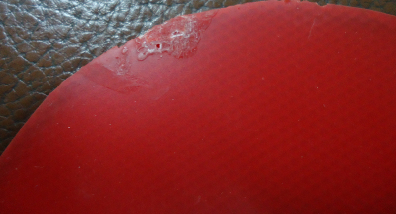 ~~~~~~~~~~��ɫT05~~~~~~~