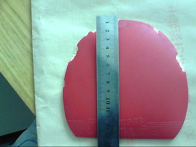 �����ž��׽��������F1����������̽�ꡢͦ��