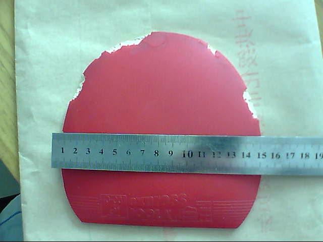 �����ž��׽��������F1����������̽�ꡢͦ��