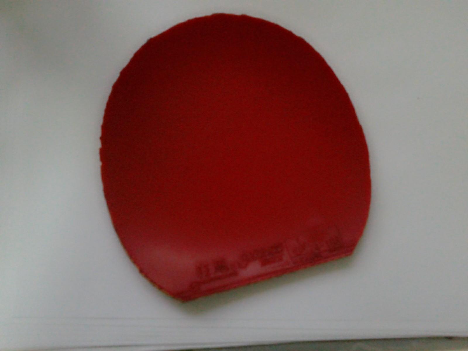 �����������������ǵ�ֹ����������