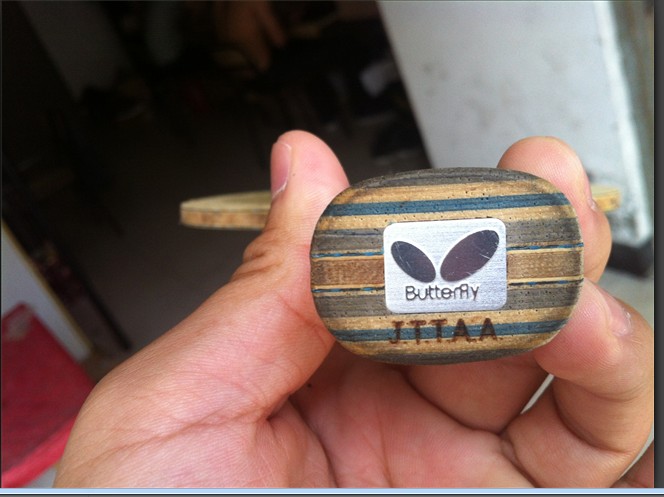 ����΢�� VIS