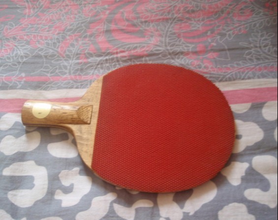 ��ʽ����