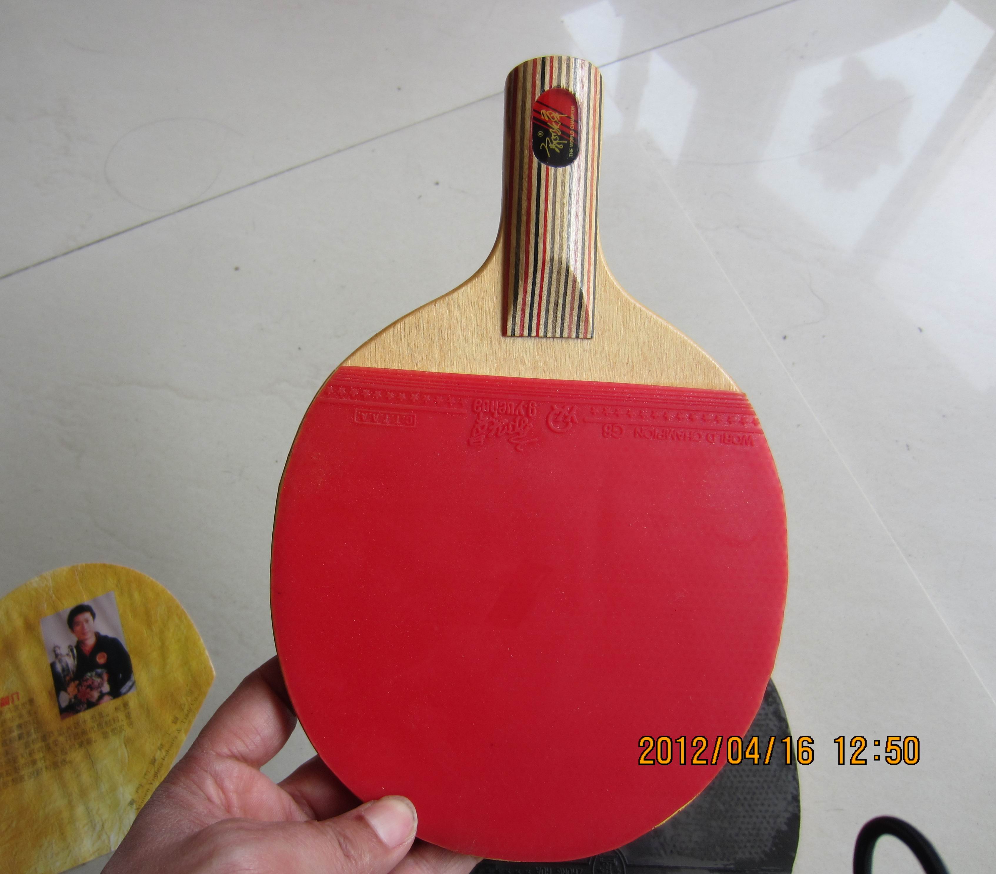 ������ʽ����һֻ