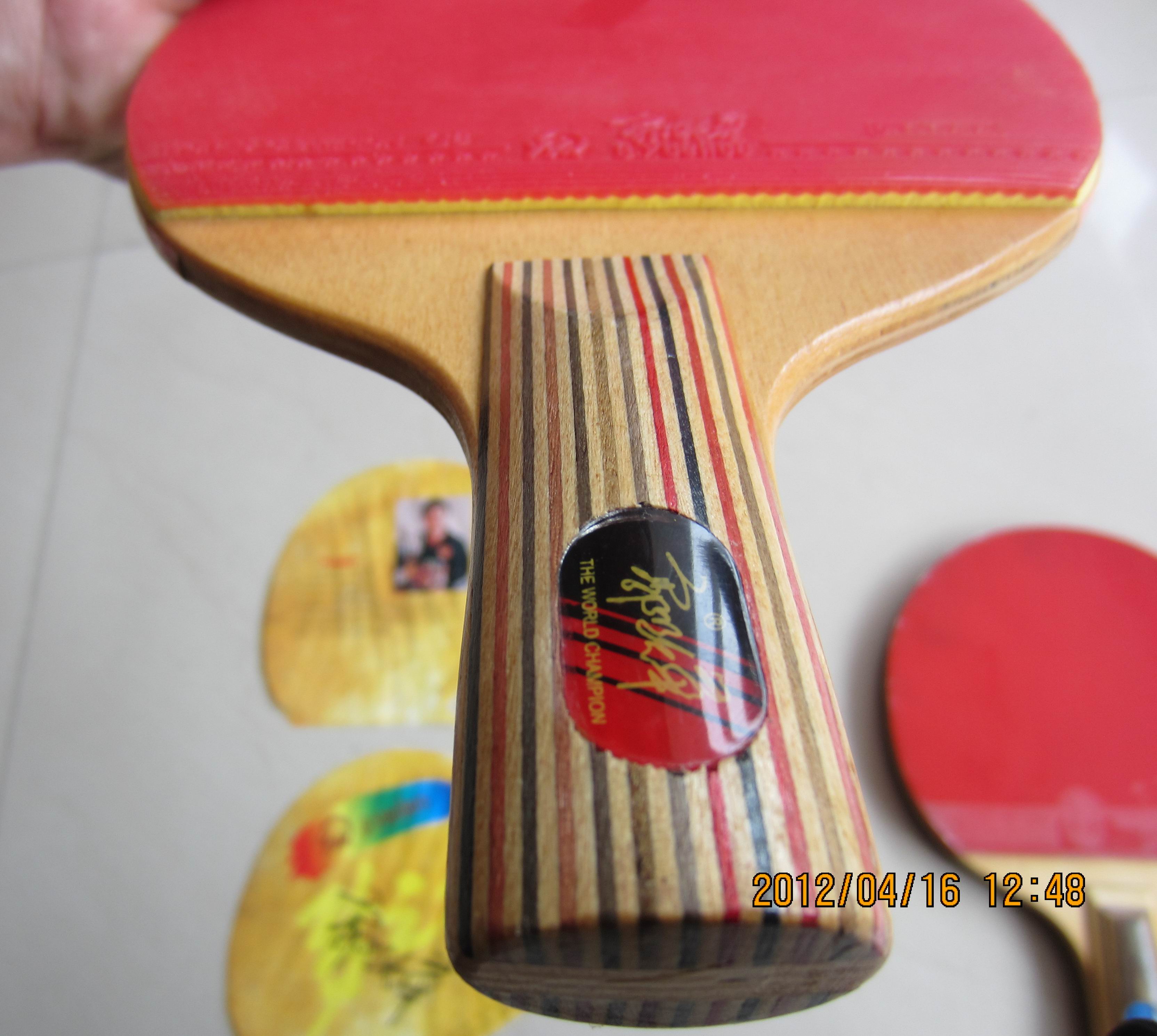 ������ʽ����һֻ