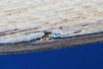 Buttetfly����ƹ������ 35861ƹ�ҵװ� ALC̼�غ���