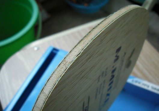 ��÷�ȣ�ˮ���� �켫sp �����