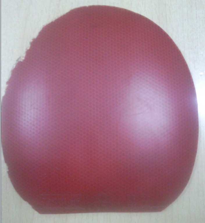 ����ǩ����roxon450�ͺ�������2 �ͽ�̤