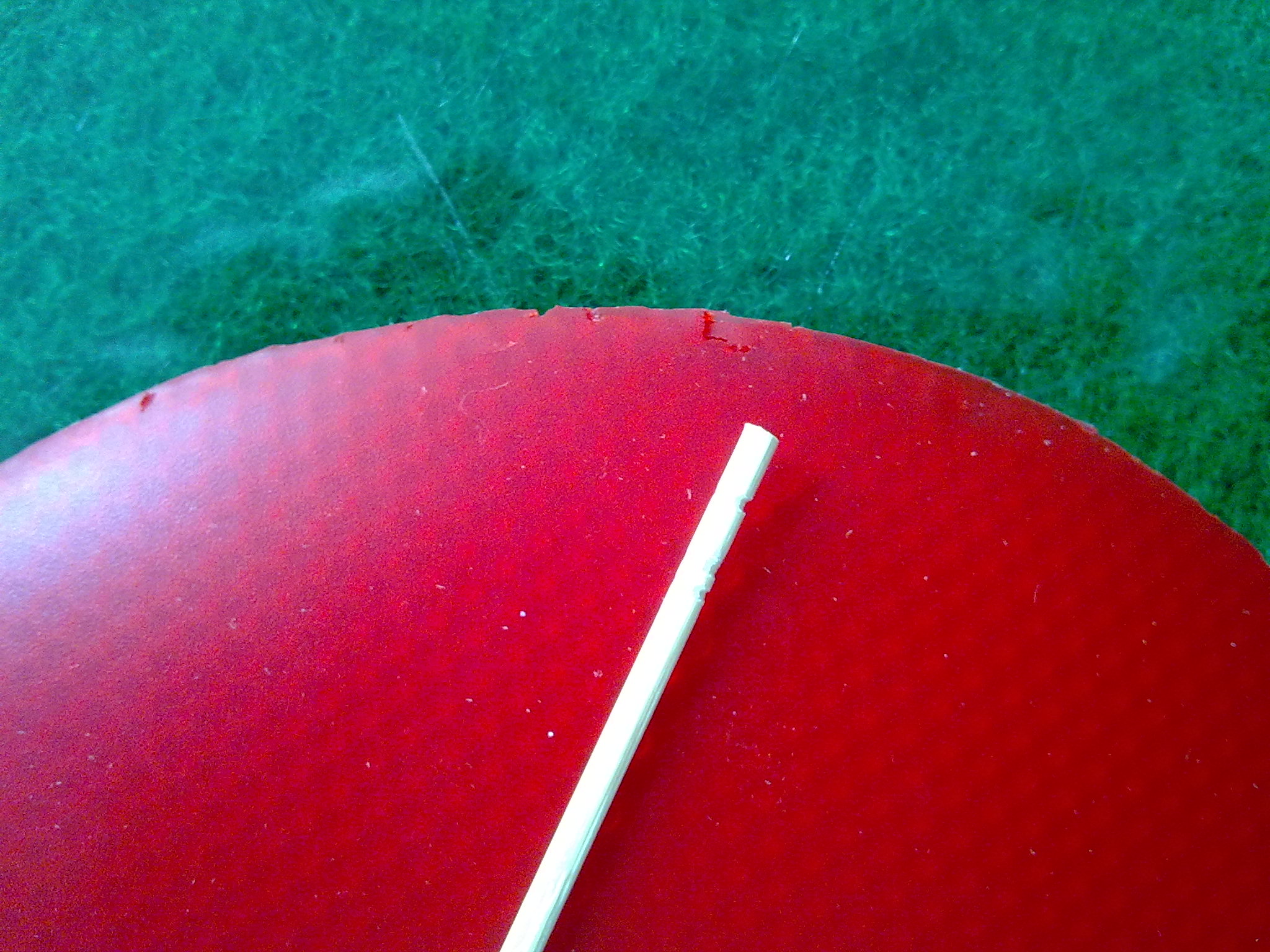 ��X1��S2�׽�