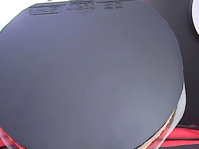 ��������V��Ψ�ѻ�Ȧ������