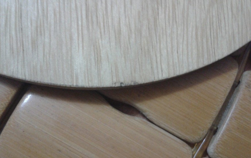 maze FL500������