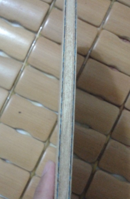 maze FL500������