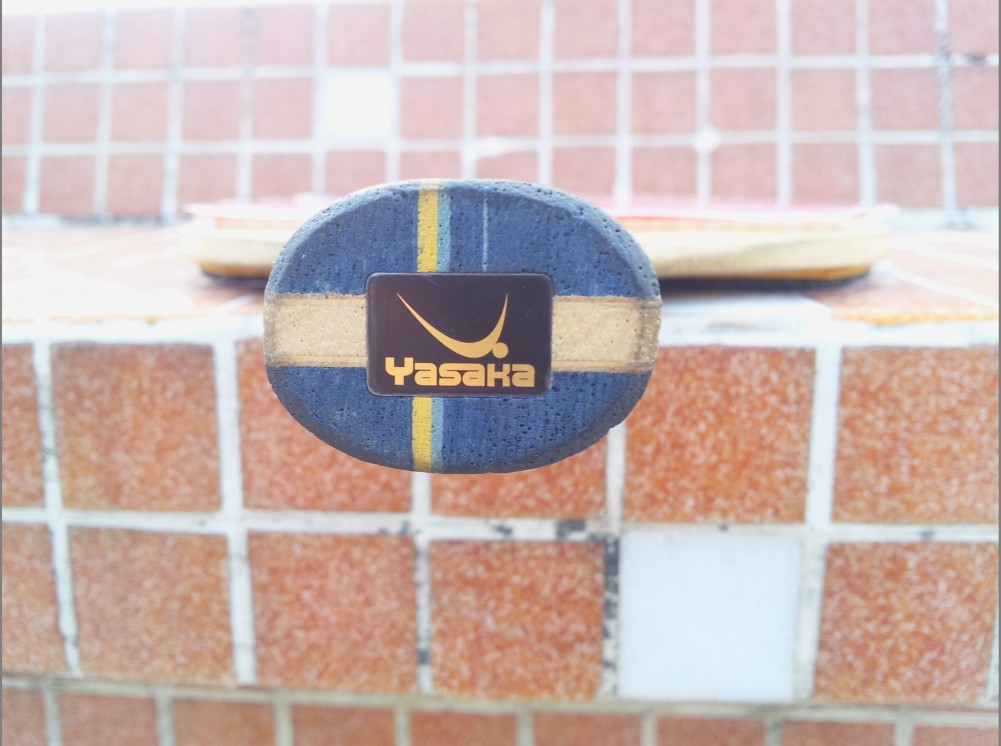 ˫��������YE