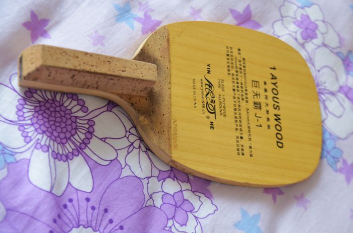 [ԭ��]ת��������ֱ��һ���Ǻ�����������XIOM����Powerlite Plus�����������Ӿ��ް�J-1��