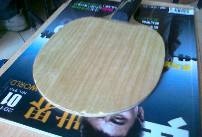 [ԭ��]֧������ �л� ˹�ٿ�  �����  STIGA  TUBE LIGHT